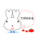 Red Rabbit イディオム（個別スタンプ：20）