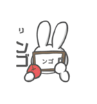 顔文字使うウサギ（個別スタンプ：12）