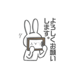 顔文字使うウサギ（個別スタンプ：13）