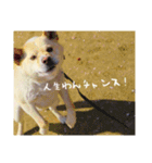 えーるくんだよ（個別スタンプ：5）