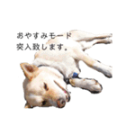 えーるくんだよ（個別スタンプ：8）