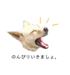 えーるくんだよ（個別スタンプ：10）
