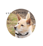 えーるくんだよ（個別スタンプ：11）
