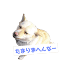 えーるくんだよ（個別スタンプ：14）