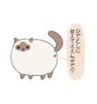 おならで喋るねこ（ひでとし）（個別スタンプ：1）