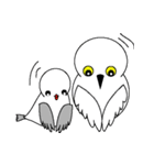 しろふくろう と ことり（個別スタンプ：20）