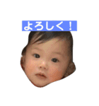 くまさんのこども（個別スタンプ：13）