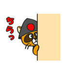 たぬきサムライ（個別スタンプ：5）