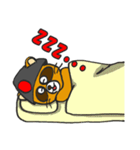たぬきサムライ（個別スタンプ：19）