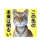 リラちゃんスタンプ（個別スタンプ：12）