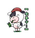 淡路島牛乳オリジナルスタンプ③（個別スタンプ：35）