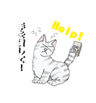 あとりえ艸の猫たち（個別スタンプ：14）