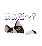 あとりえ艸の猫たち（個別スタンプ：30）