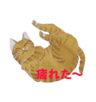 あとりえ艸の猫たち（個別スタンプ：31）