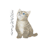 あとりえ艸の猫たち（個別スタンプ：34）