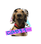 リキとあお 第2弾（個別スタンプ：1）