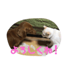 リキとあお 第2弾（個別スタンプ：2）
