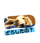 リキとあお 第2弾（個別スタンプ：7）