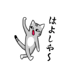 サバトラ猫が話す岐阜弁（個別スタンプ：1）