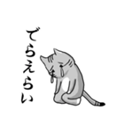 サバトラ猫が話す岐阜弁（個別スタンプ：3）