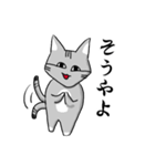 サバトラ猫が話す岐阜弁（個別スタンプ：4）
