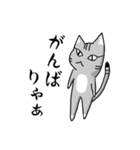 サバトラ猫が話す岐阜弁（個別スタンプ：5）