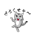 サバトラ猫が話す岐阜弁（個別スタンプ：7）