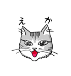 サバトラ猫が話す岐阜弁（個別スタンプ：16）