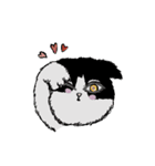 ねこイロイロ詰め合わせ（個別スタンプ：19）