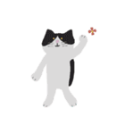 ねこイロイロ詰め合わせ（個別スタンプ：22）