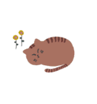 ねこイロイロ詰め合わせ（個別スタンプ：23）