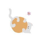 ねこイロイロ詰め合わせ（個別スタンプ：24）