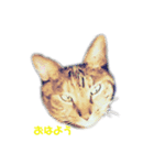 てんてんとクリコ（個別スタンプ：7）