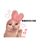 ぽんこざらめ（個別スタンプ：14）