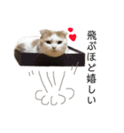 ぽんこざらめ（個別スタンプ：16）