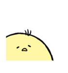 つかいやすいひよこ（個別スタンプ：15）
