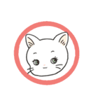 パンツねこ日和（個別スタンプ：3）