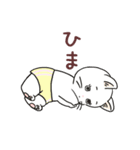 パンツねこ日和（個別スタンプ：15）