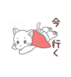 パンツねこ日和（個別スタンプ：16）