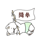 パンツねこ日和（個別スタンプ：22）
