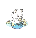 パンツねこ日和（個別スタンプ：25）