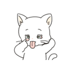 パンツねこ日和（個別スタンプ：40）