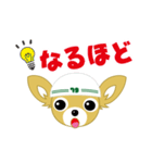 とめきち（個別スタンプ：10）