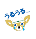 とめきち（個別スタンプ：13）