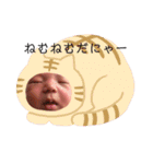 かいまる（個別スタンプ：22）