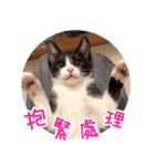 幸せなニャンこ日（個別スタンプ：11）
