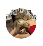 幸せなニャンこ日（個別スタンプ：13）