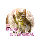 幸せなニャンこ日（個別スタンプ：18）