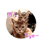 幸せなニャンこ日（個別スタンプ：23）