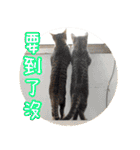 幸せなニャンこ日（個別スタンプ：27）